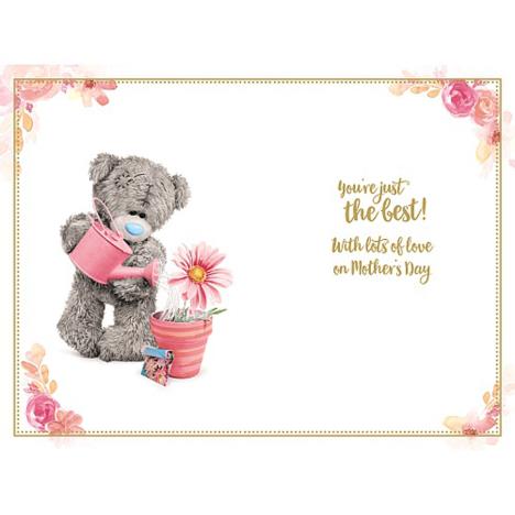Wonderful Nan Me to You Bear Mother's Day Card Extra Image 1